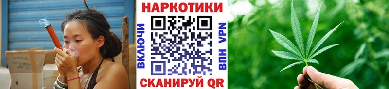 Виды наркотиков купить Шали Кокаин  СК  ГАШИШ  МЕФ 