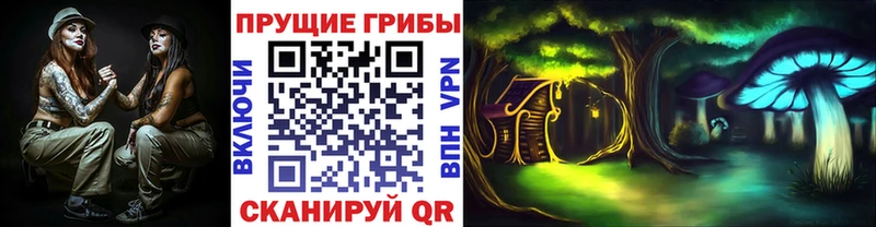 Псилоцибиновые грибы мицелий  Шали 