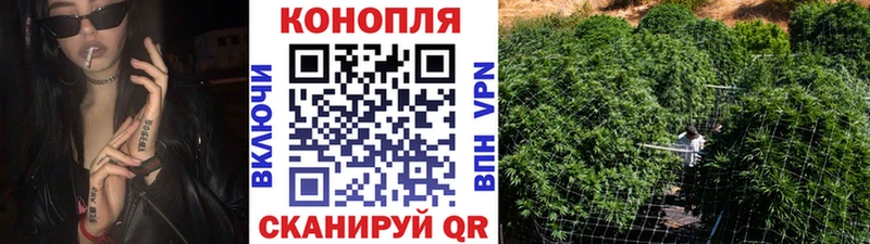Бошки марихуана AK-47  как найти закладки  omg ONION  Шали 